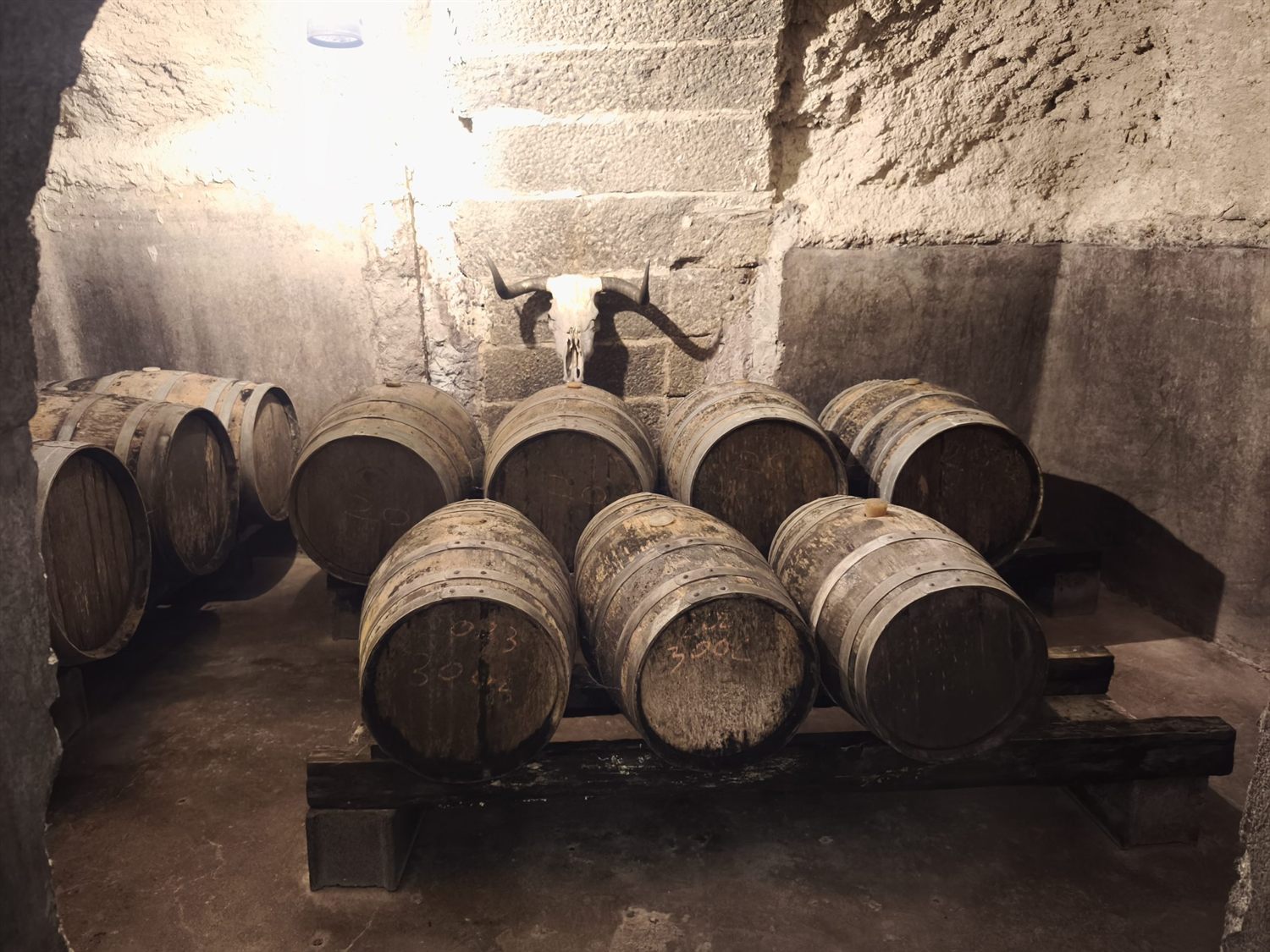 Barricas en la bodega de granito de Bodega Romanorum