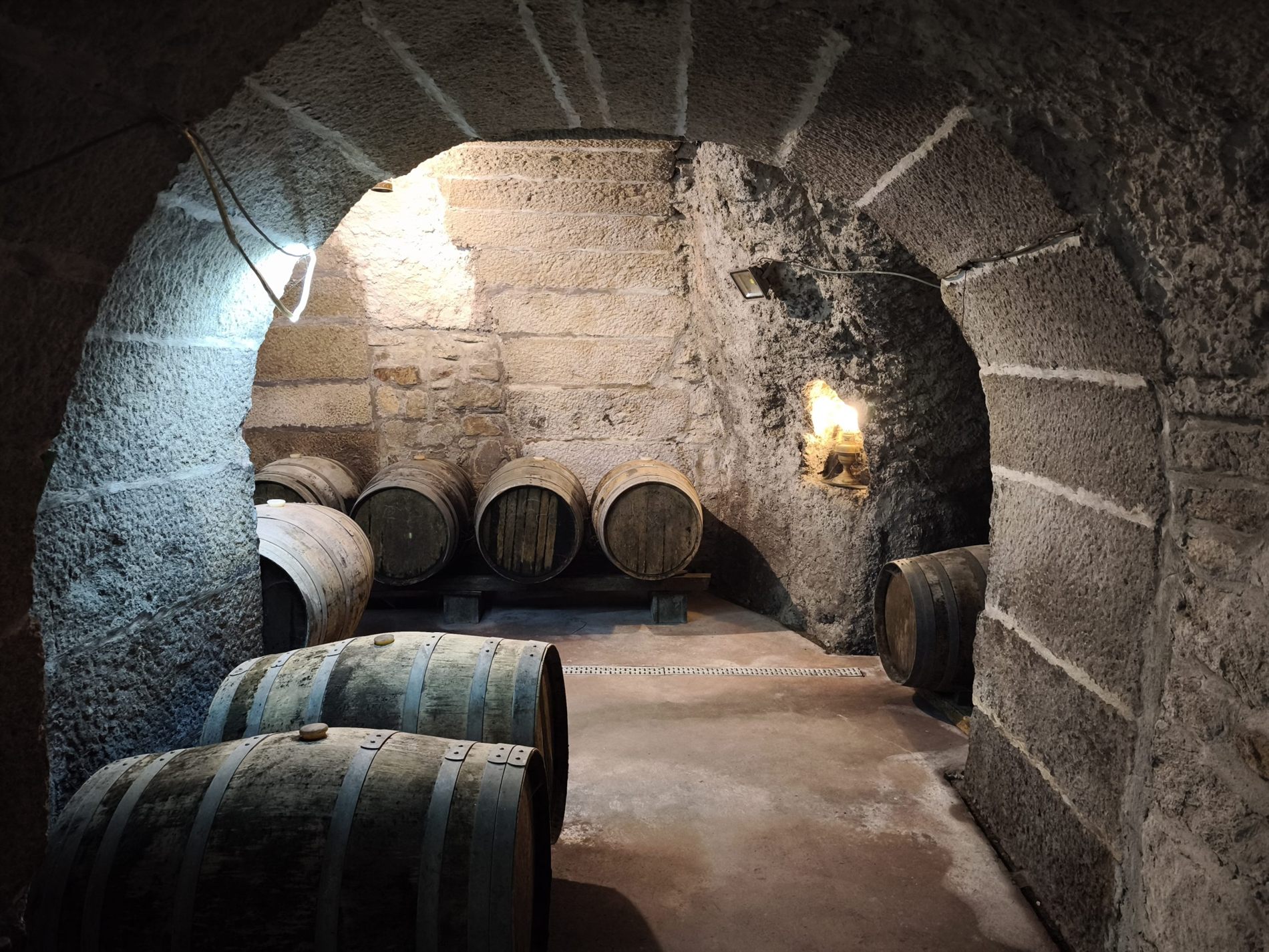 Bodega Romanorum, excavada en granito bajo Fermoselle