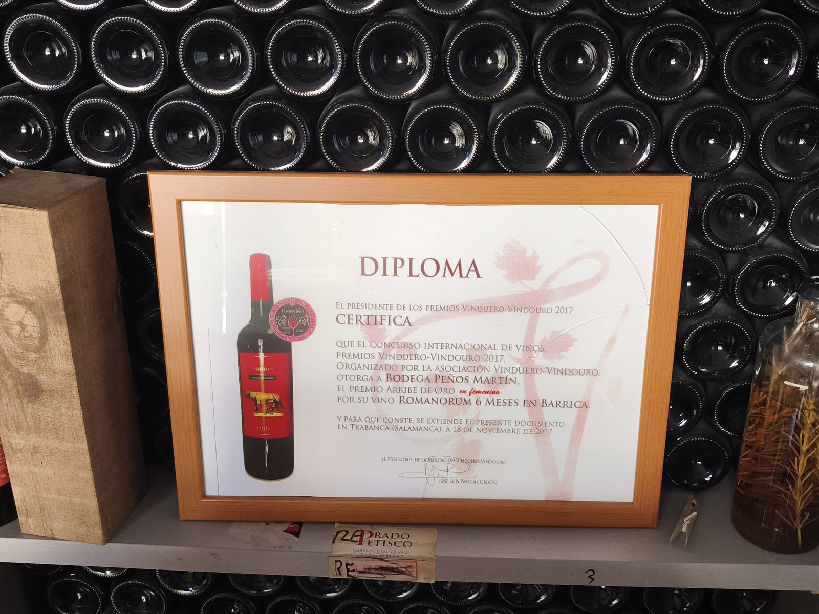 Diploma Arribe de Oro Vinduero-Vindouro 2017 para Romanorum