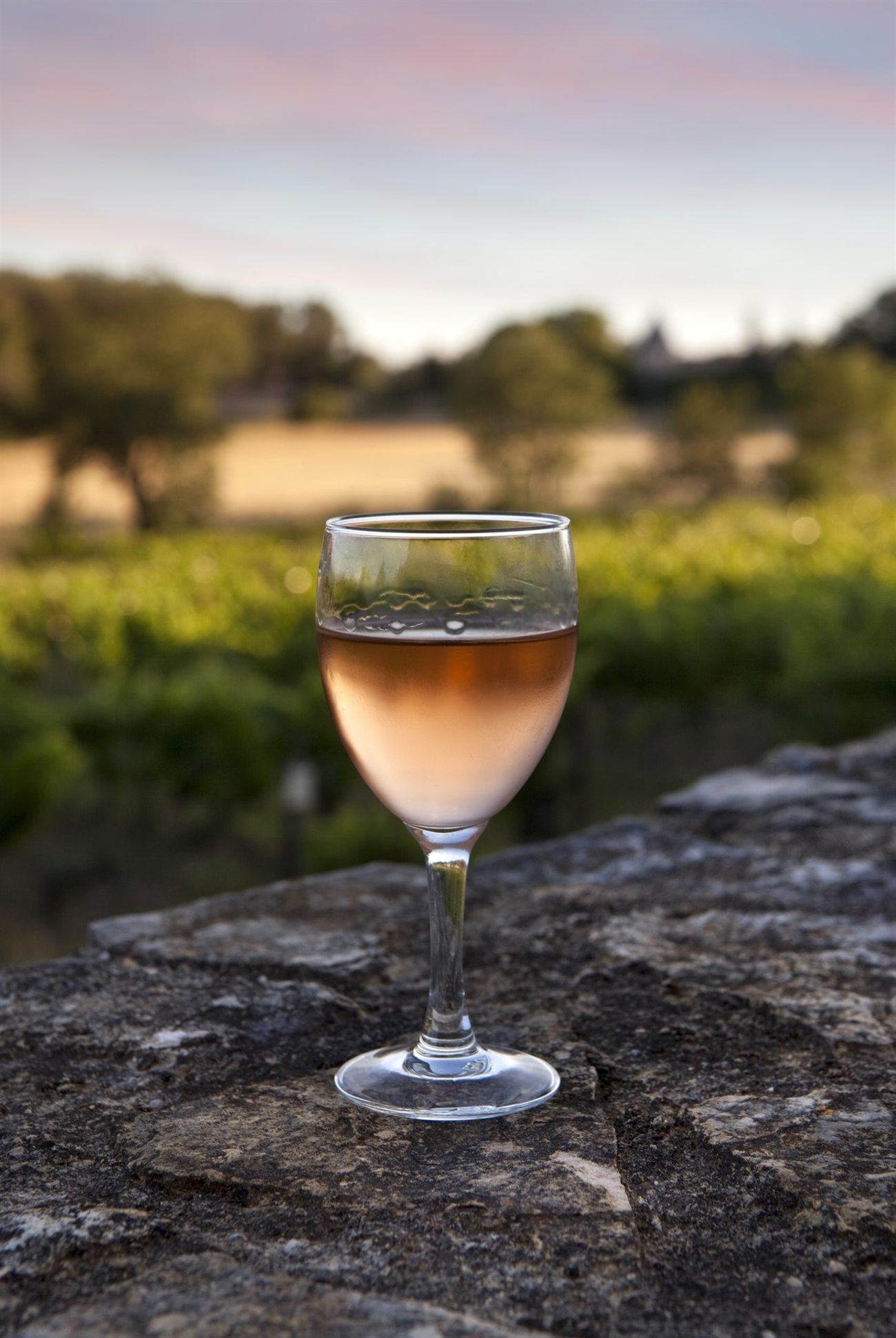 Copa de vino rosado frente al viñedo al atardecer